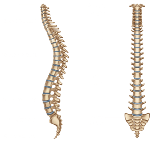 neck pain